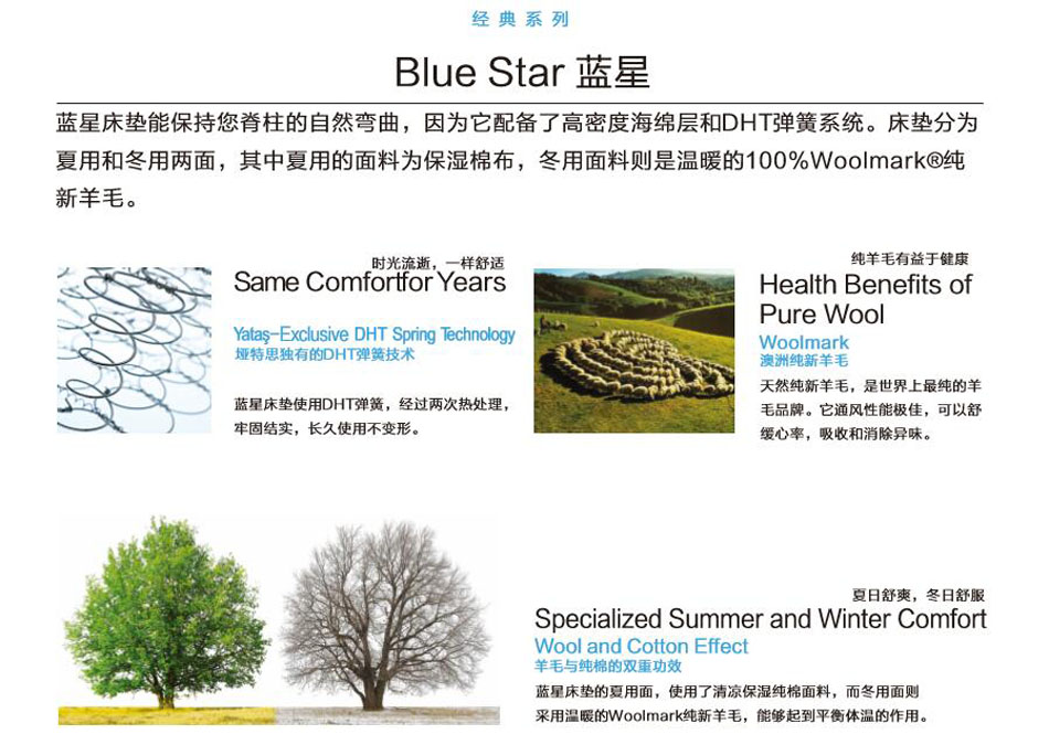 糖心VLOG官网入口藍星糖心VLOG官网首页專利技術